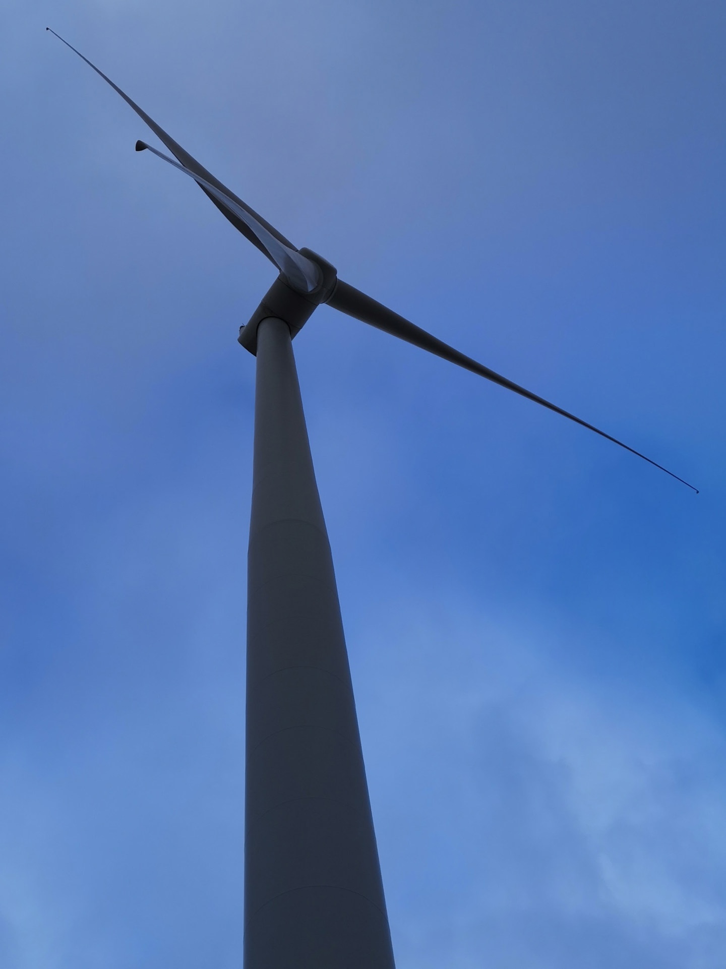 Veidekke: Focusing on offshore wind