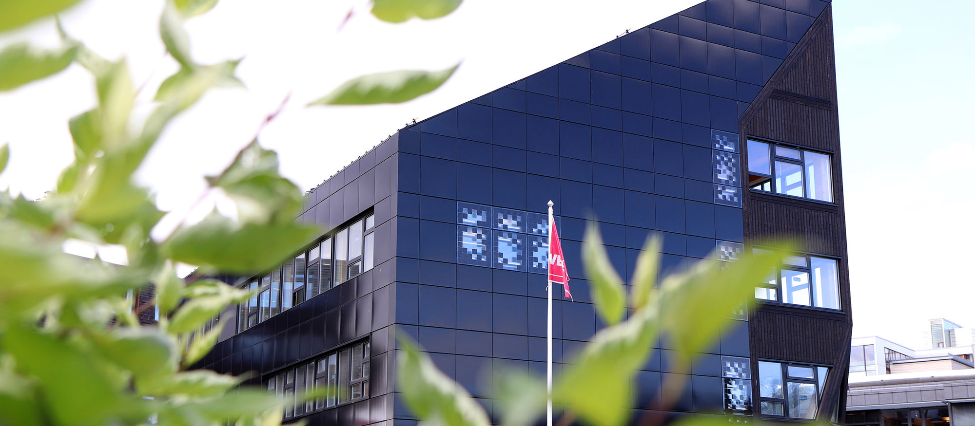 Green leaves in the foreground. Modern office building in the background. Photo.